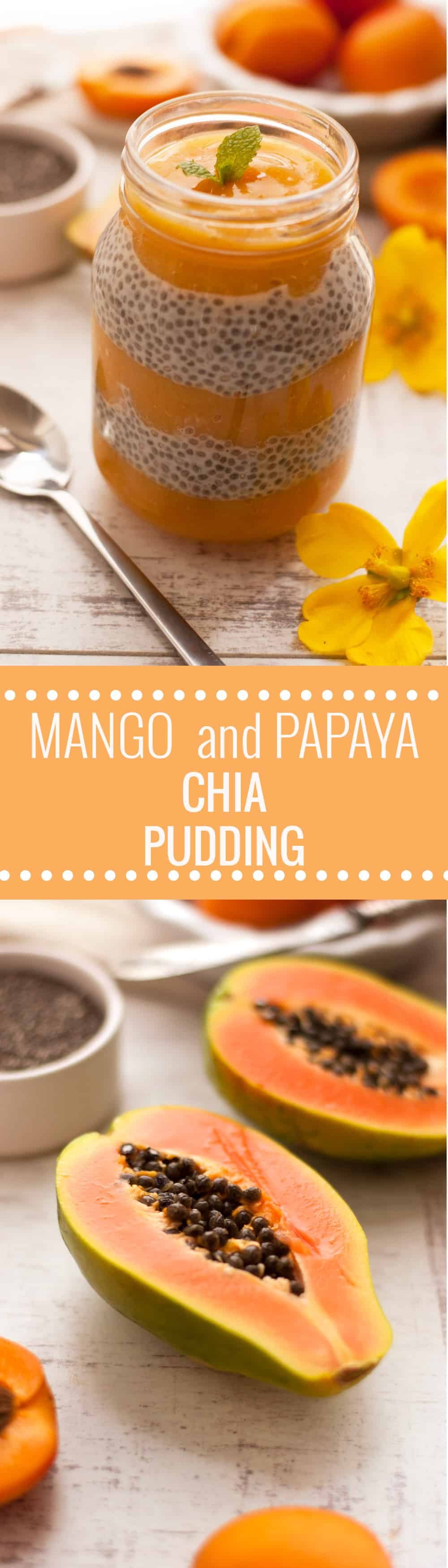 Delicious Mango, Papaya and Apricot Chia Pudding infused with Ginger. Healthy and super nutritious breakfast packed with exotic flavors!