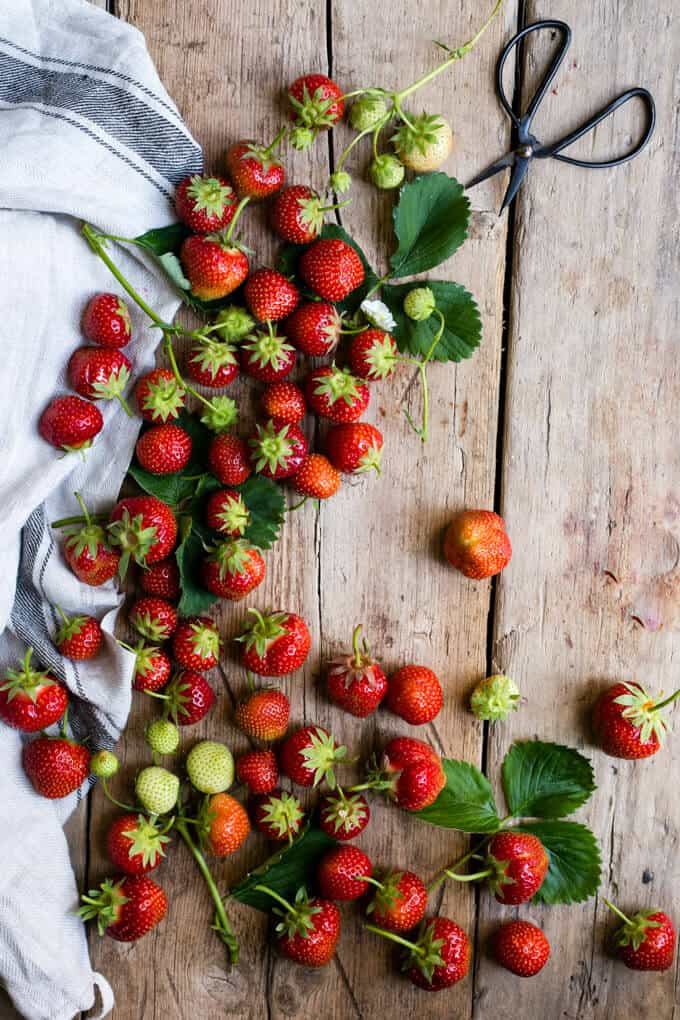 Juicy summer strawberries for fruit cake | via @annabanana.co
