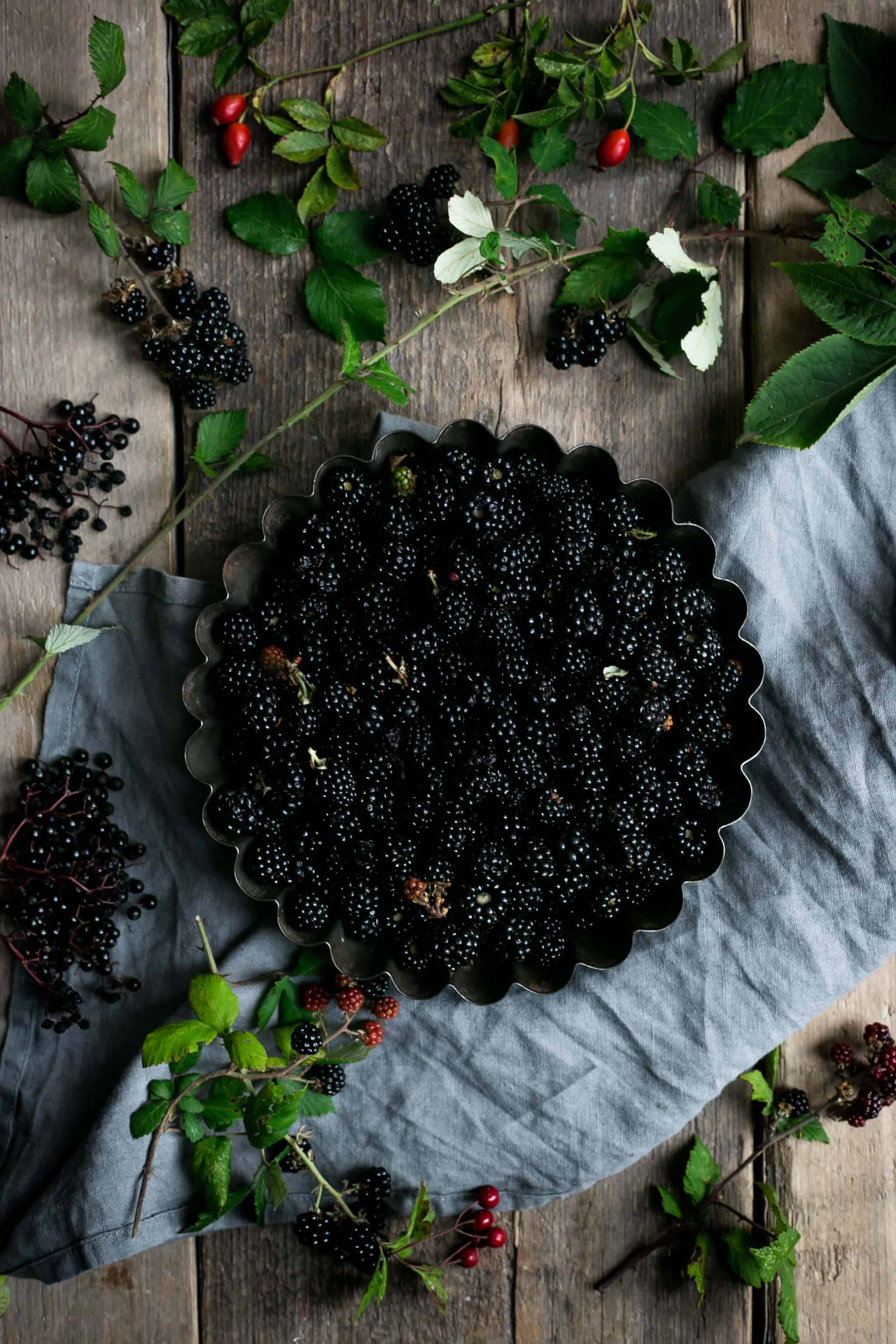 Blackberry jam and lattice tart | via @annabanana.co
