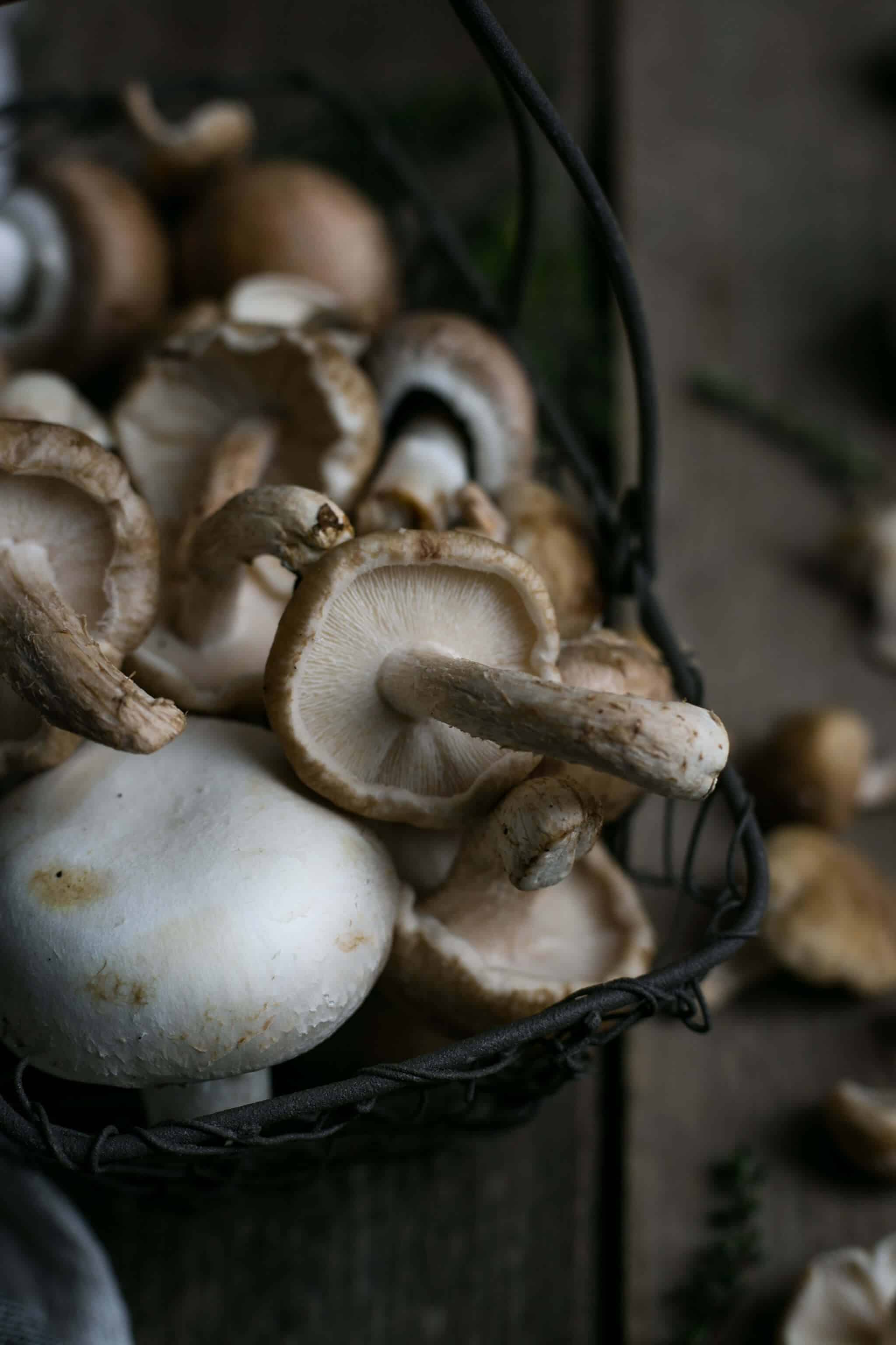 Delicious mushroom gnocchi with fresh thyme | via @annabanana.co