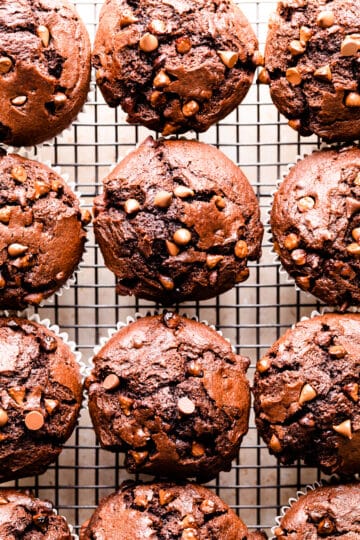 double chocolate muffins topped with extra chocolate chips on a wire rack.