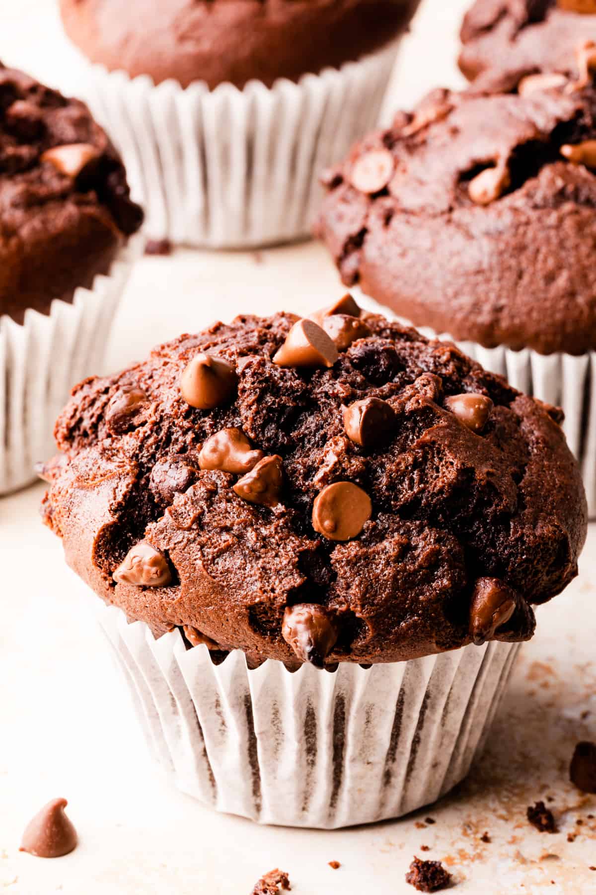 muffin with chocolate and chocolate chips topping.