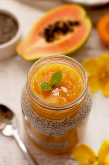 Mango-and-Papaya-Chia-Pudding-4