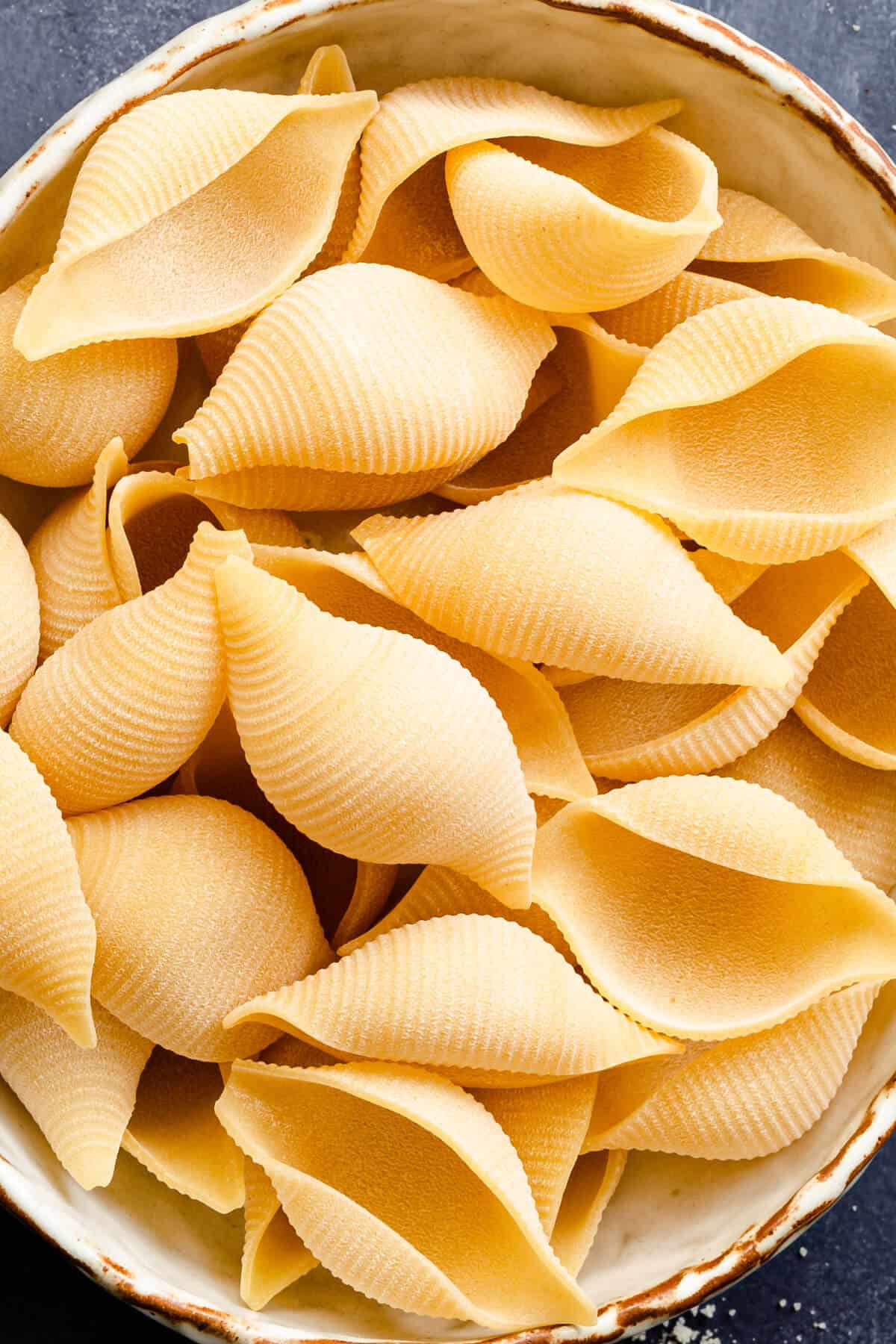 close up of giant pasta shells