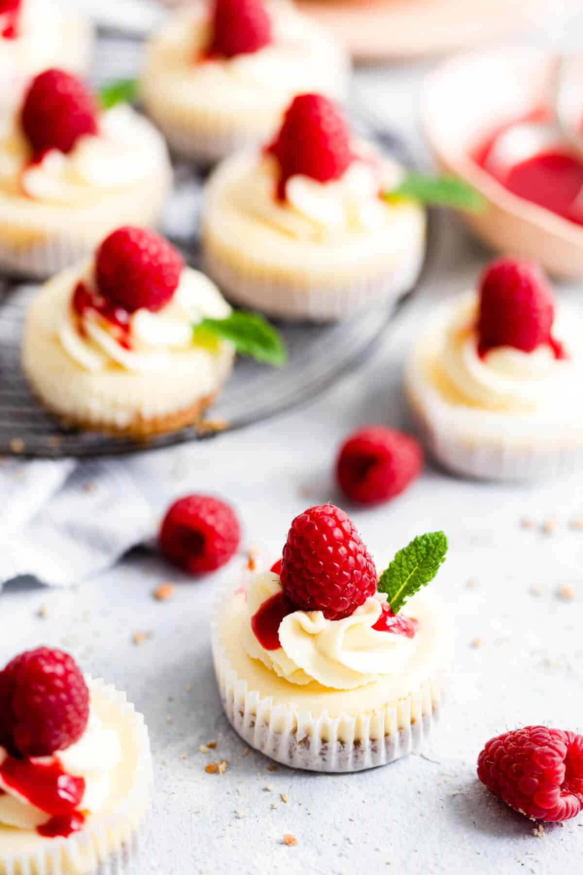 side shot of mini cheesecakes topped with whipped cream