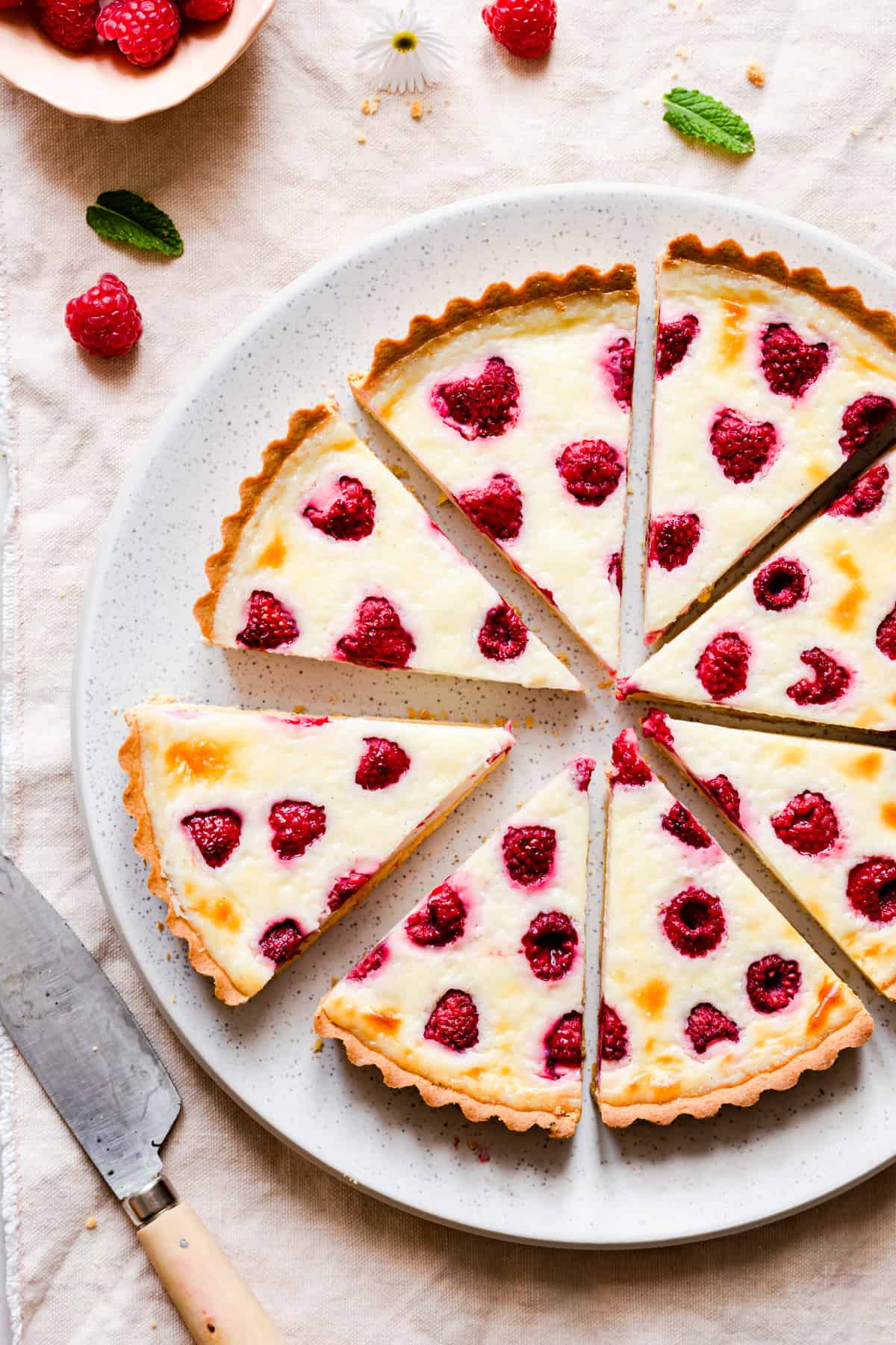 top view close up of slices of raspberry tart arranged in a circle