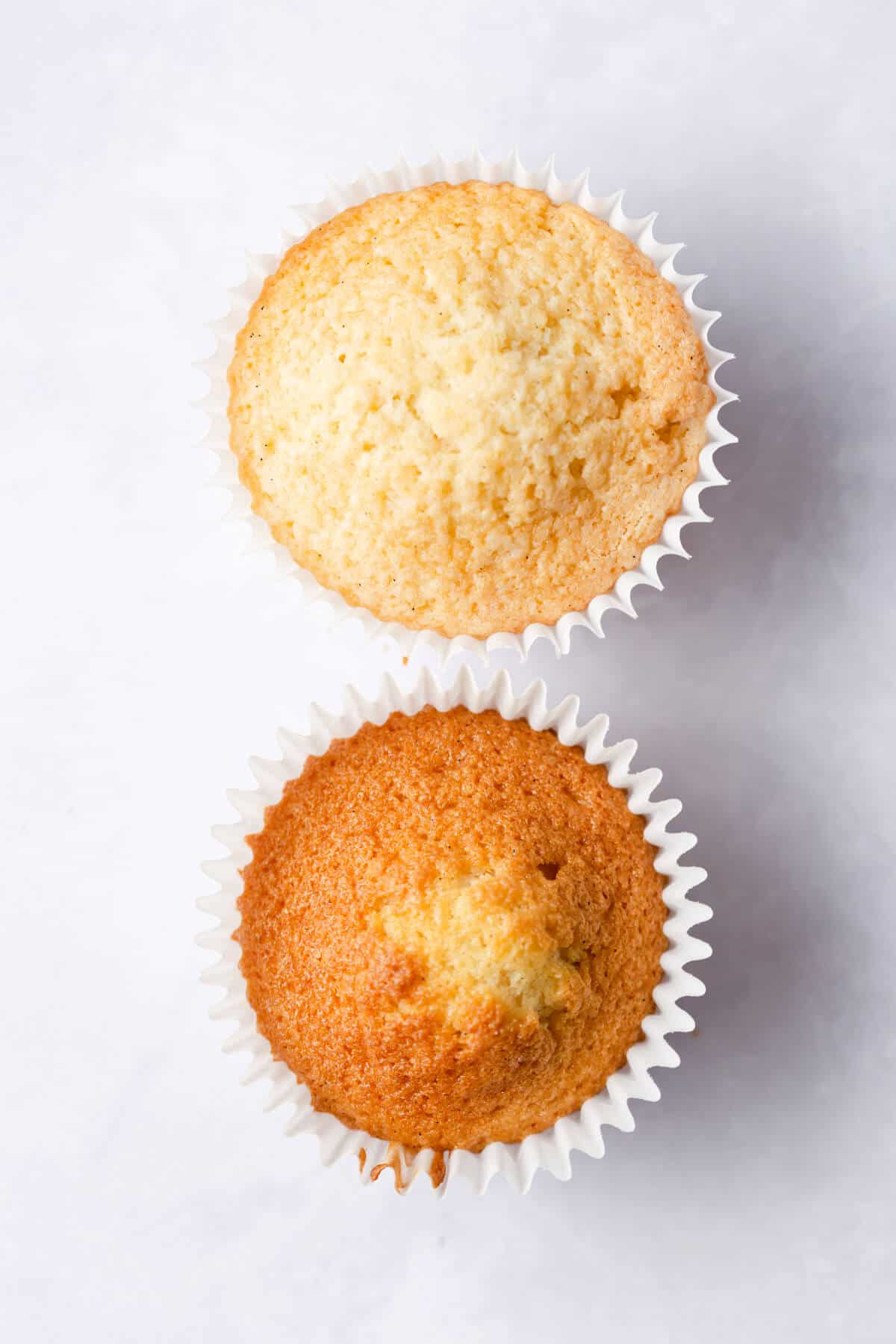 top view of two cupcakes showing different texture on top