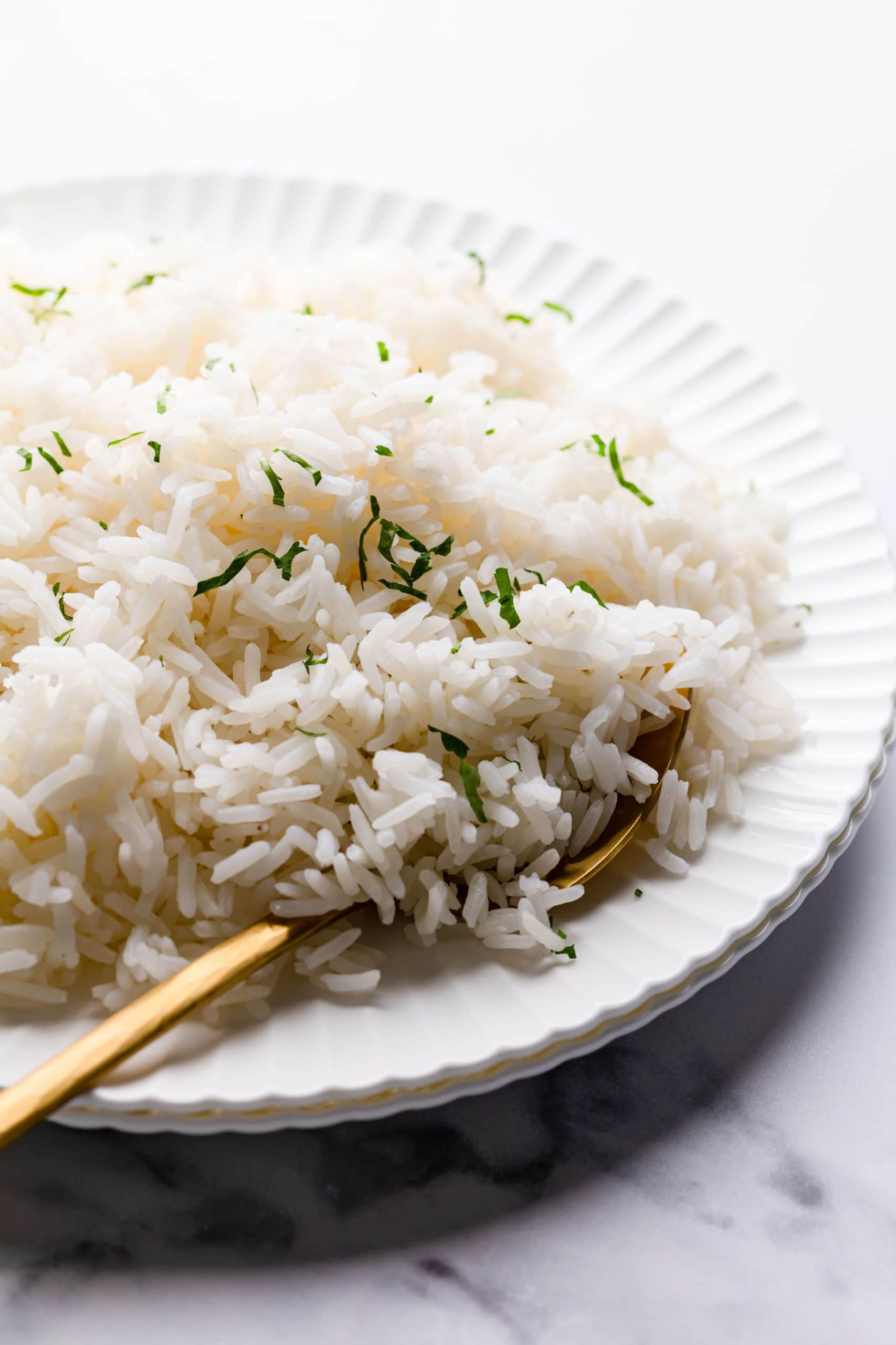 side close up at a plate with jasmine rice