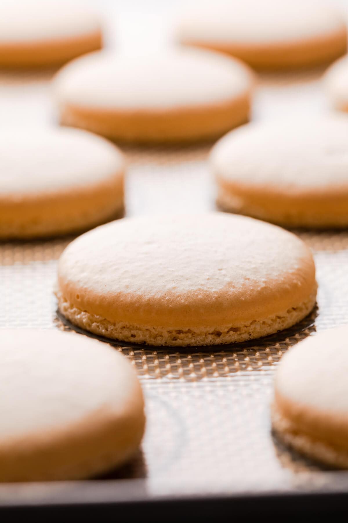baked macaron shell on a silicone mat.