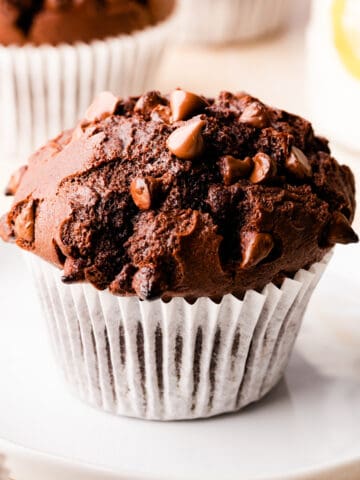 an individual chocolate muffin with chocolate chips on a small white plate.